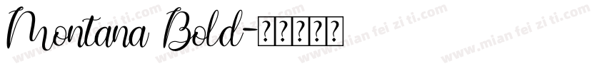 Montana Bold字体转换